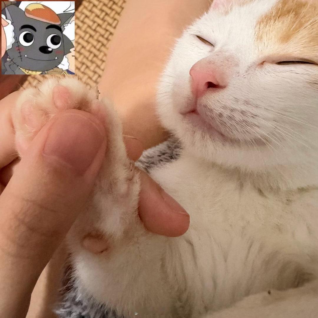 爪子里都是屎，边擦边睡。。你这个年纪怎么睡得着 ​