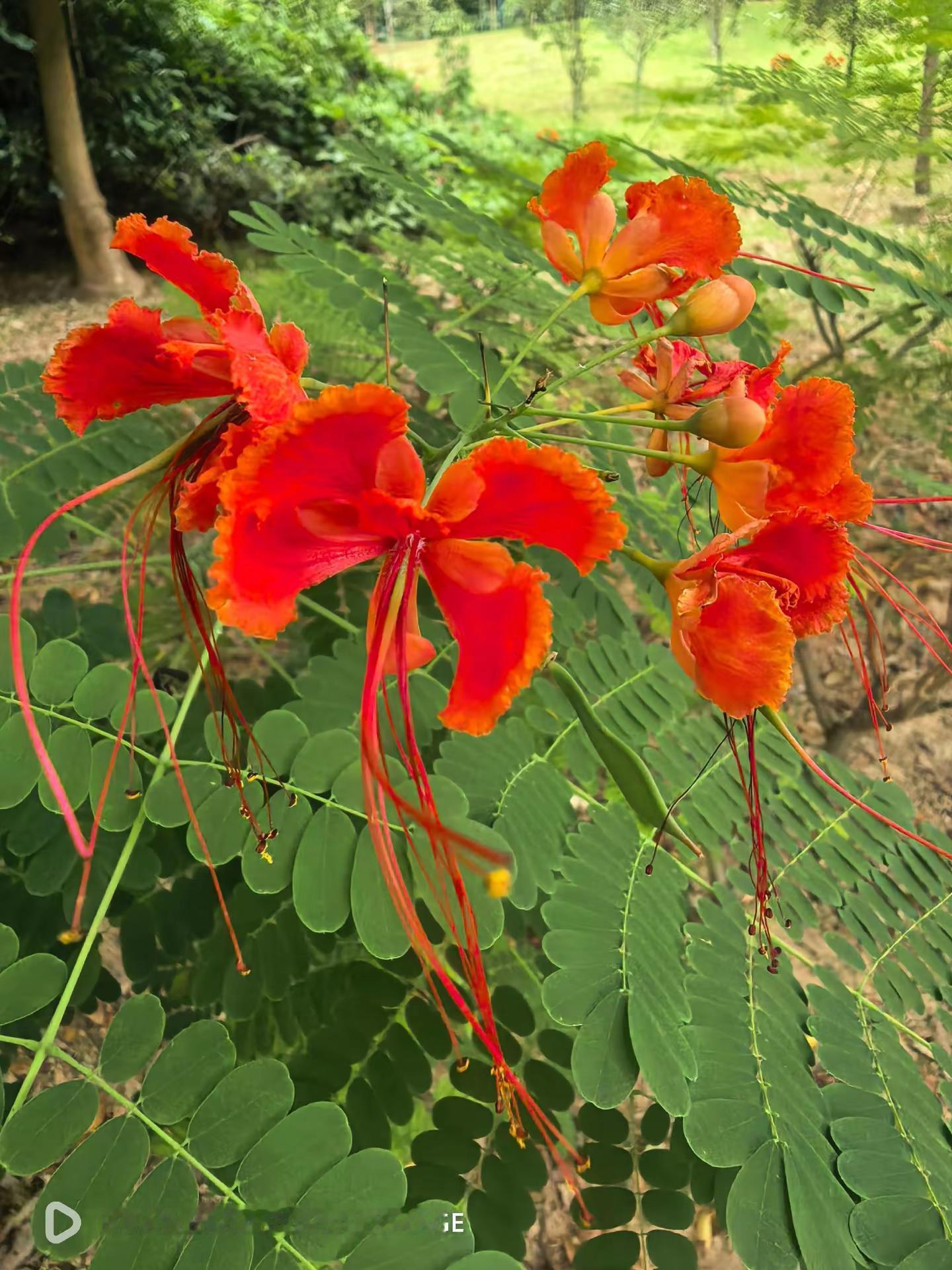 一直在运动的路上