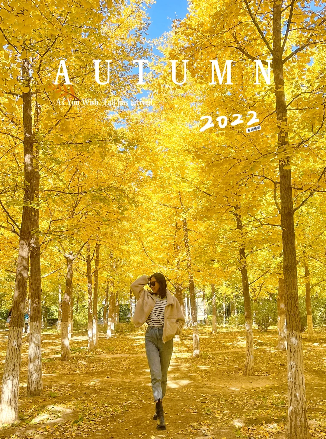 免费人少小众银杏林，赏秋拍照遛娃宝藏公园