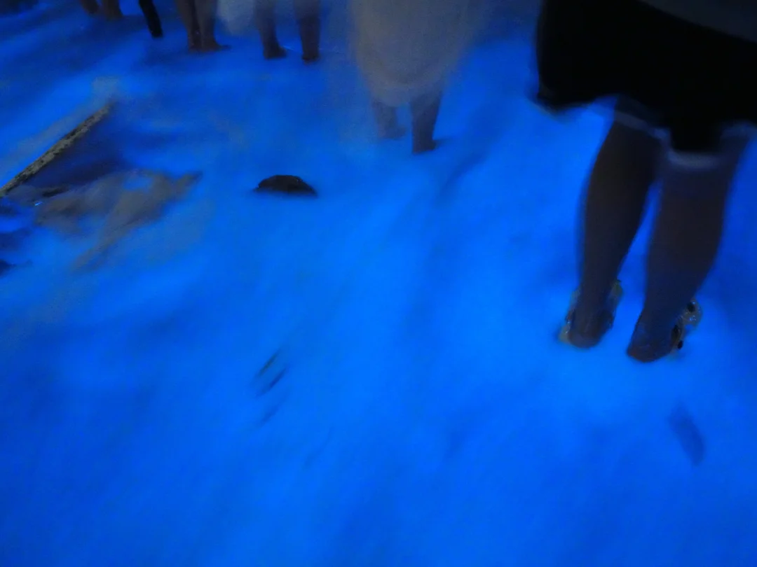 平潭 蓝眼泪 荧光海