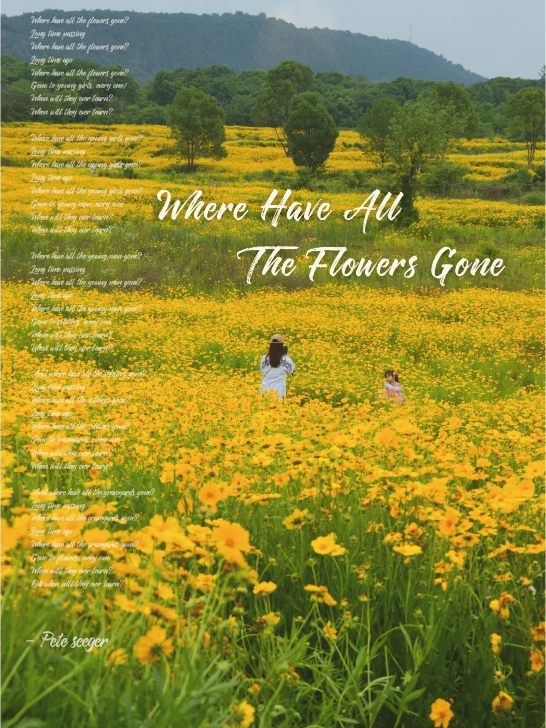 武汉百亩花田，宛如仙境的神仙拍照地