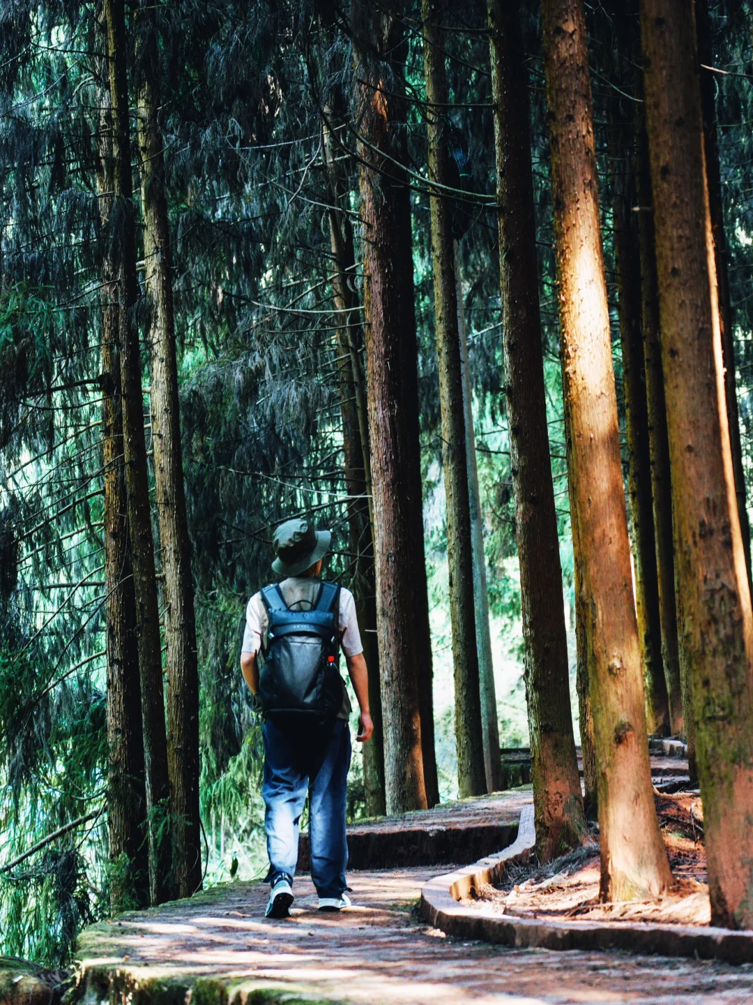 真的是今年走过最舒服的徒步线路了！