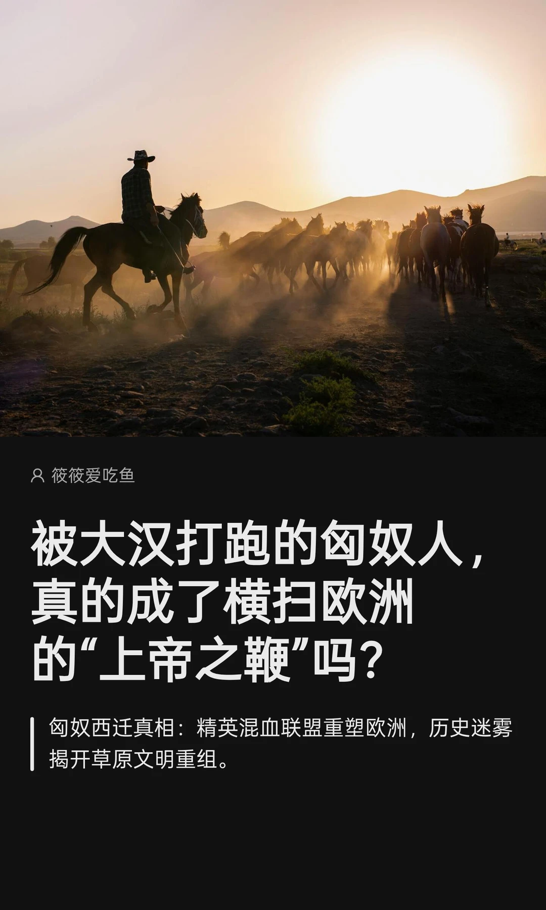 被大汉打跑的匈奴，真的去横扫欧洲了？