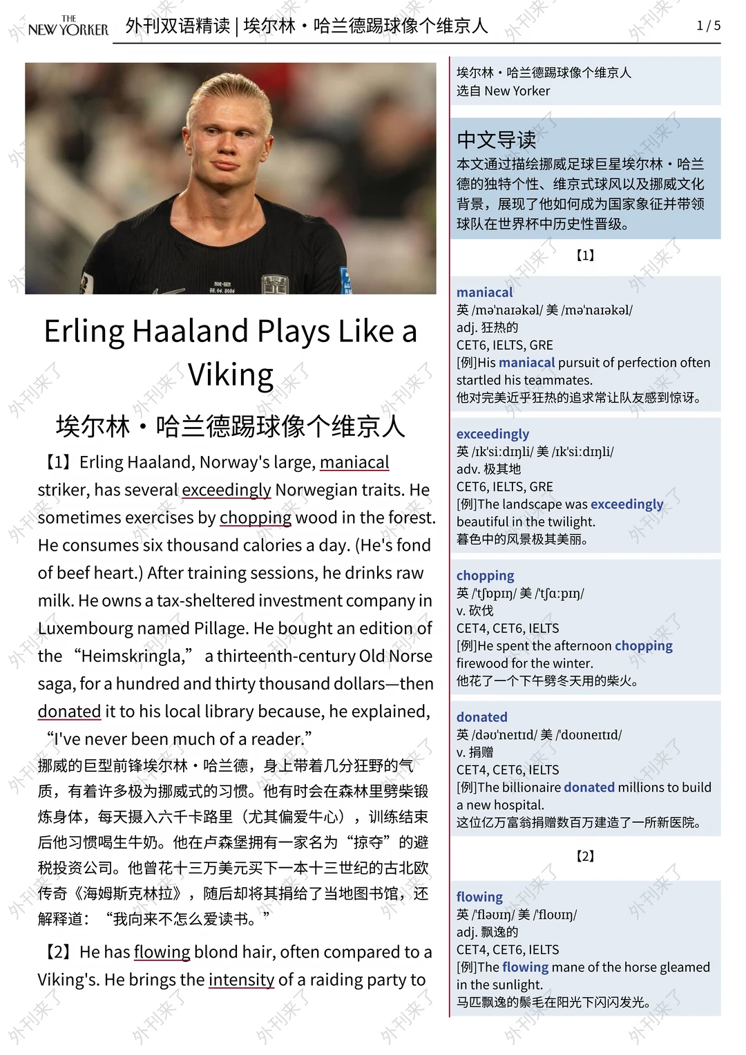 外刊精读313｜哈兰德为什么会划船？？？