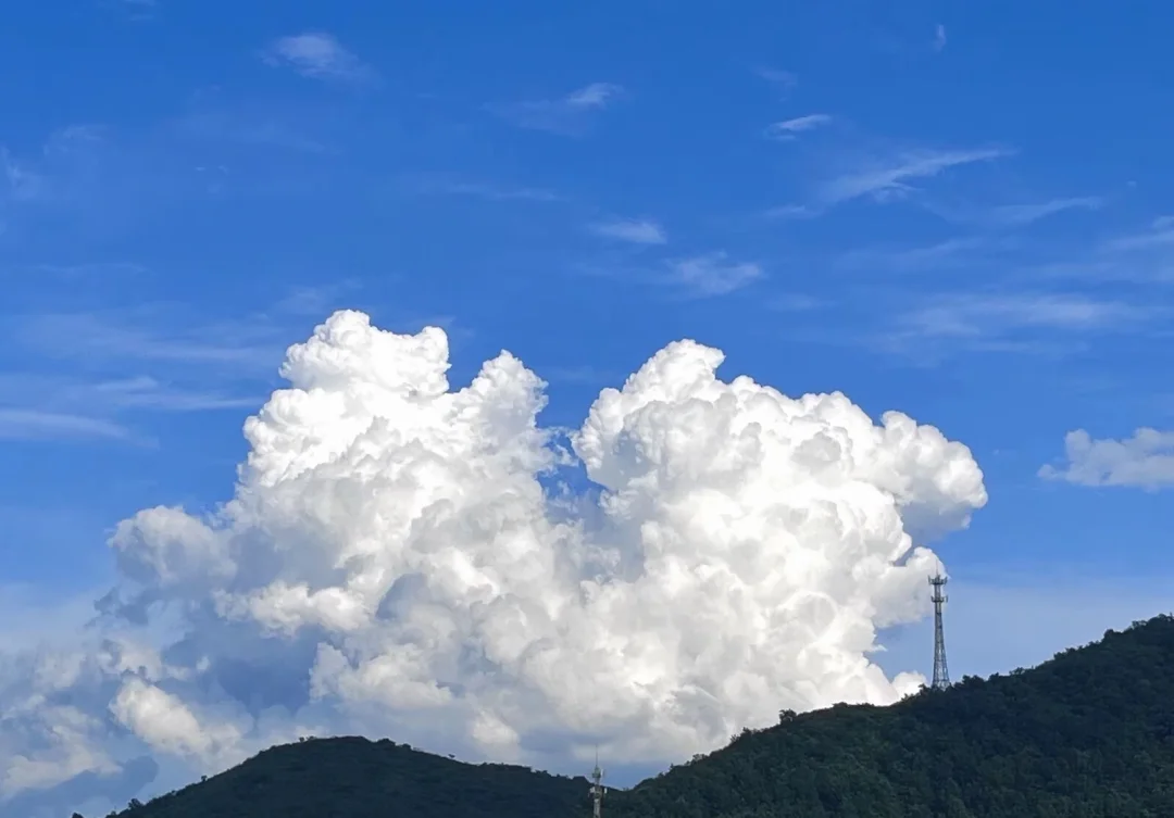 送给自己的一封信，关于断舍离。
