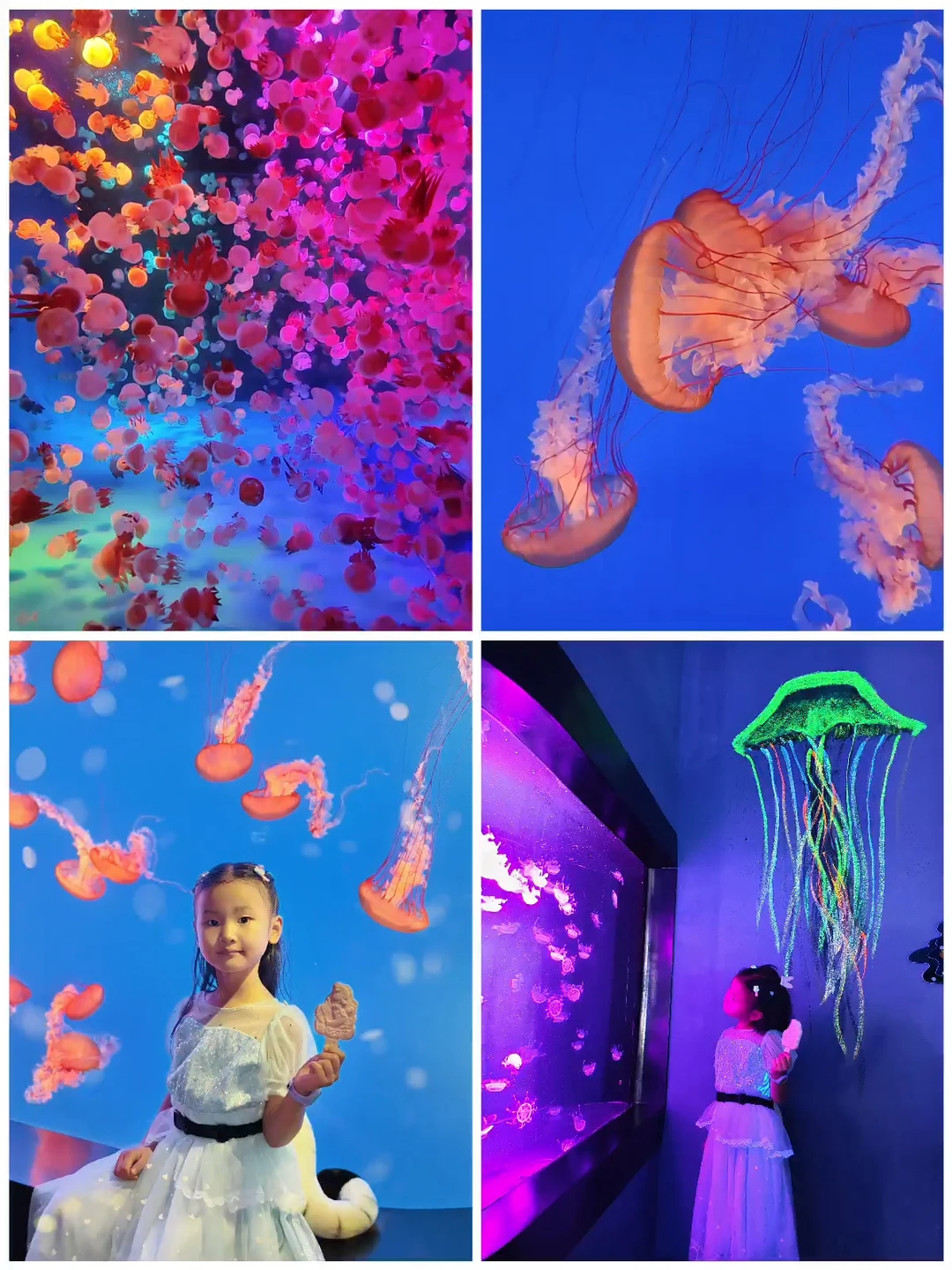 ❤️快来南京海底世界感受夜场的欢乐吧！