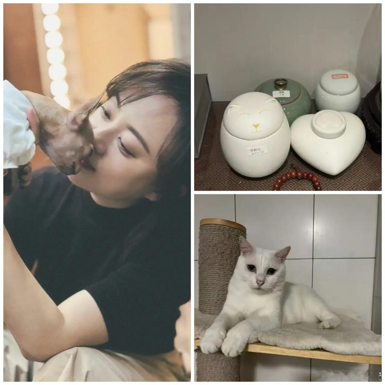 9.12日，孙俪发文，“好好的一顿晚饭，大家吃的挺高兴的，然后他们看我拿着手机在那里哭，把音乐停了，也没人说话了，还给我端来一杯热水。”
​原来，是流浪到他们家的狗狗加勒比走了，今年满打满算才五岁，病发现得太晚，没留住。
​一个小生命，看着他慢慢长大，孙俪还说原本想怎么着都应该活到她50 ​