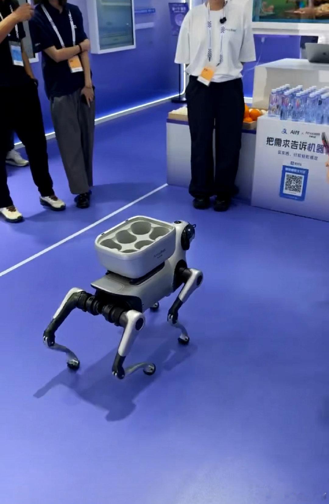 #网友称狗腿付才是真接地气#现在相亲新话术可以安排上：我家有只会打酱油的机器狗。网友脑洞大开，属实把机器狗的趣味玩明白了。#支付宝辟谣狗腿付# ​