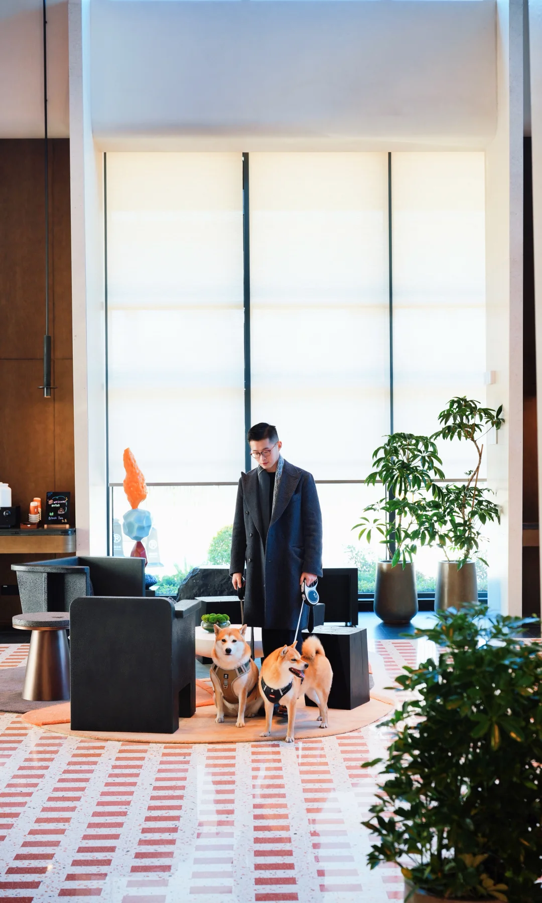 带毛孩子们来苏州过周末🏨