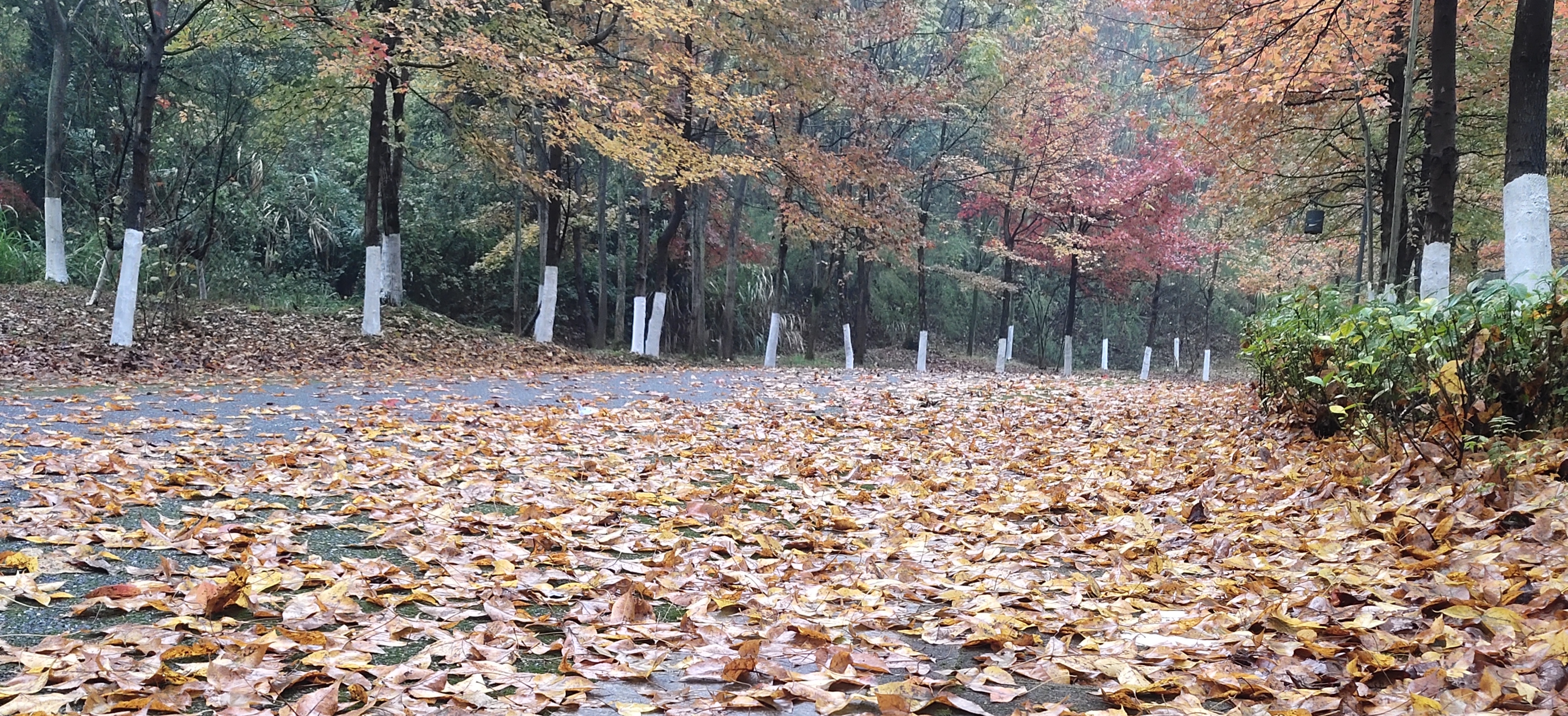 当已婚男女遇到心仪的异性……