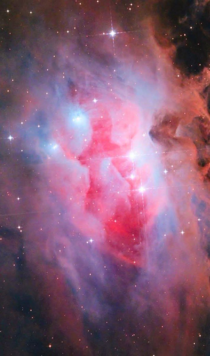看过猎户腰带三星，别错过它上方的宇宙剪影✨
这里是跑人星云 NGC1977，一处鲜活的恒星育婴室。
冰蓝色来自尘埃散射星光，和地球蓝天原理相同；粉红光，则是被新生恒星紫外线激发发光的氢。

平静表象之下是剧烈的诞生过程：幼年恒星向外喷射高速等离子喷流，撞击尘埃形成赫比格-哈罗天体。
一道道耀眼 ​