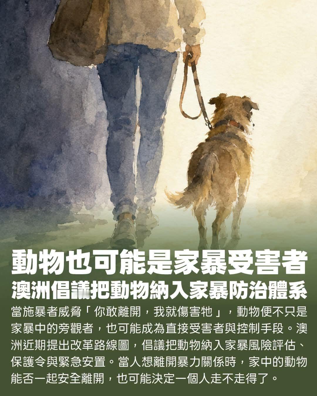 動物也可能是家暴受害者——澳洲倡議把動物納入家暴防治體系 ​