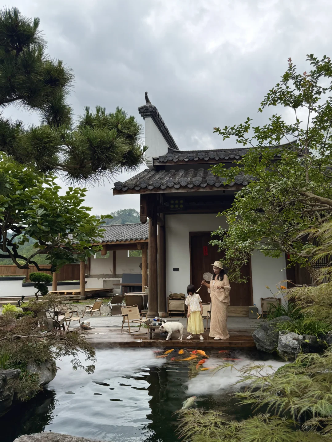 武夷山！果然最美的地方都是免费的！live合集