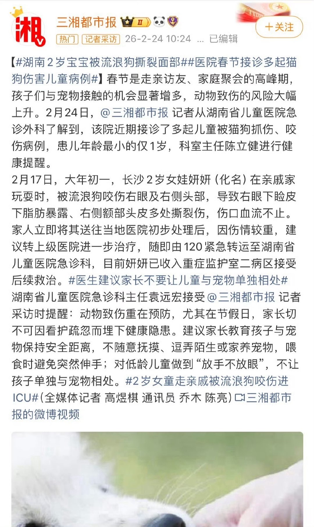 #多方回应男子被狗咬没打疫苗离世#
巧了嘛，怎么又是湖南的，狗咬人的事属实是有点多了吧。。。 ​