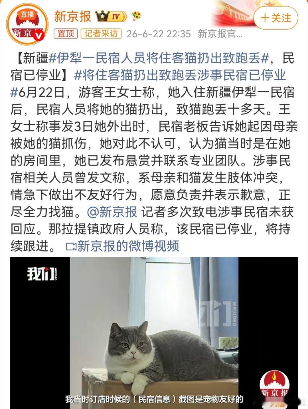 “宠物友好”民宿，然后自己的猫被扔出去了。想赚宠物爱好者的钱，又嫌宠物...
