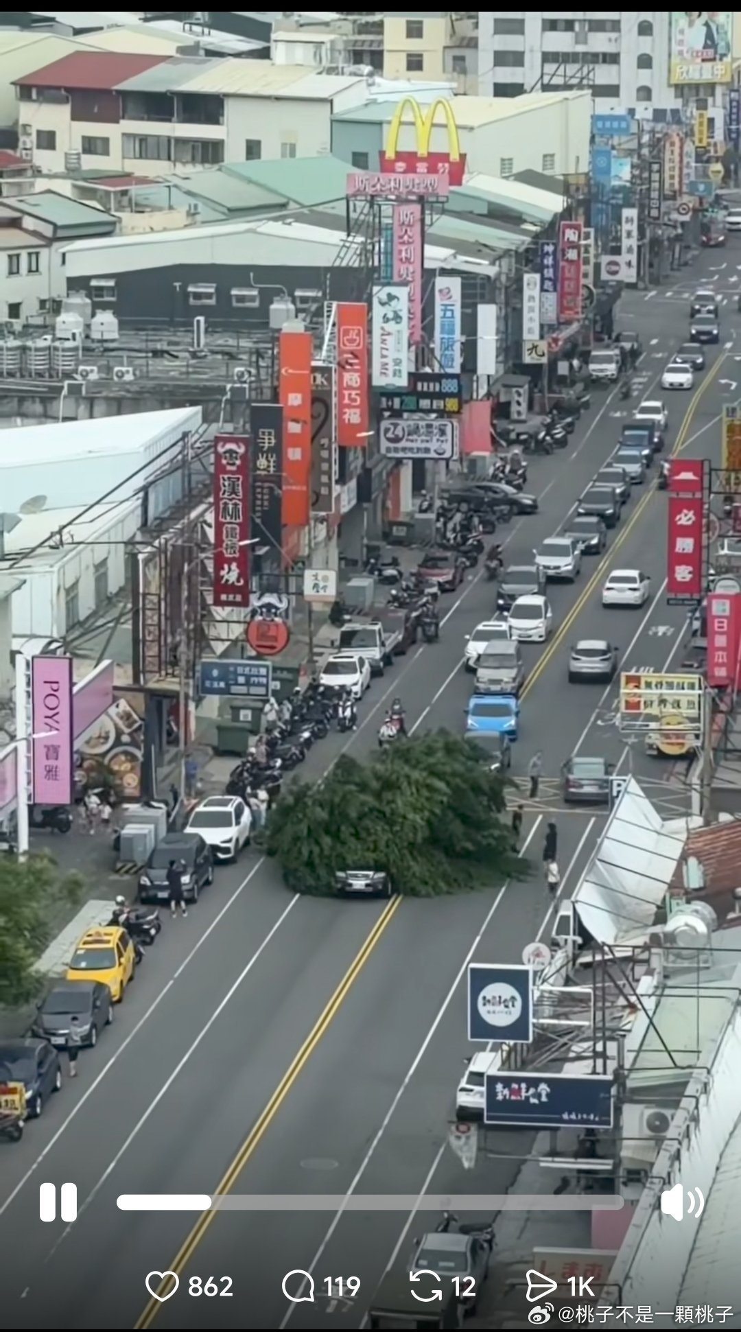 琵眼大風終於過去了[泪]
琵眼琵眼快走開
開始下雨了，不過都散了
安全了吧[皱眉]
樹裡面有台車對吧！
#台风蔷琵# 薔琵颱風
#生活手记##桃的废文# / ​