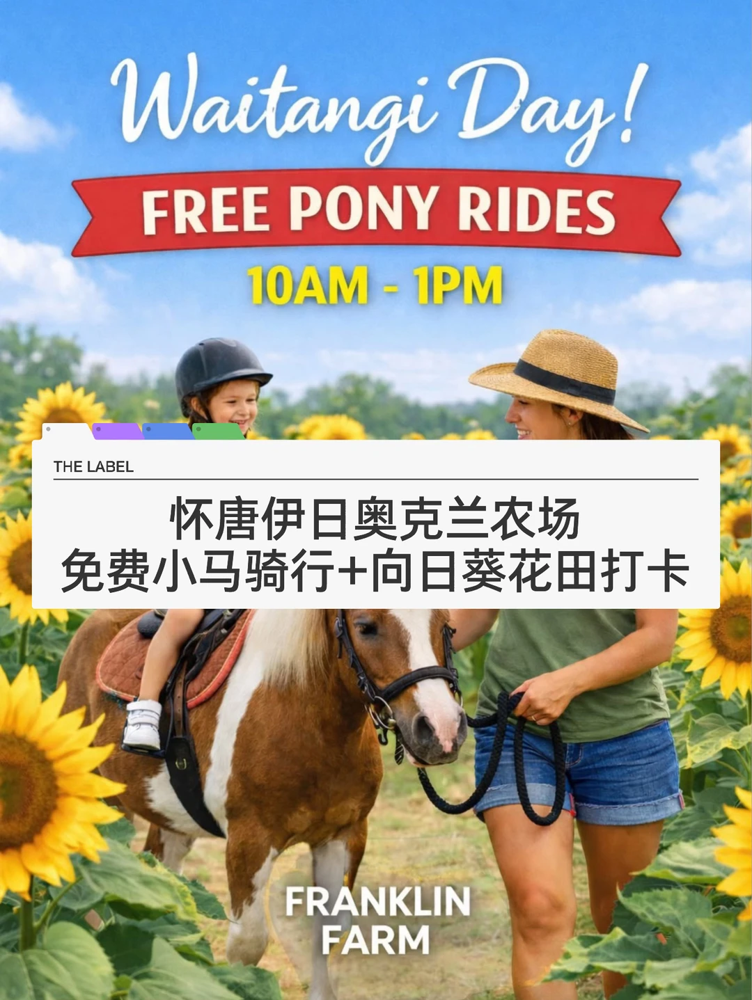 🇳🇿纽村怀唐伊日 向日葵农场免费骑小马