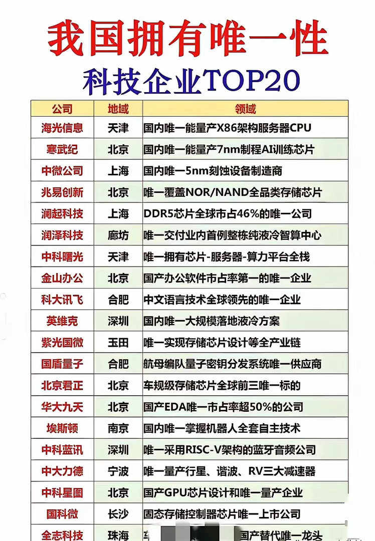 盘点中国“唯一性”科技龙头
​​科技与半导体赛道里，不少企业手握独家技术壁垒，在细分赛道拥有不可替代的地位，是国产科技突围的核心力量。
​​寒武纪，国内少数实现AI芯片全产品线布局的企业，也是为数不多能够适配国内AI大模型训练与推理的本土芯片厂商，作为国产AI算力基础设施的核心自研芯片企 ​