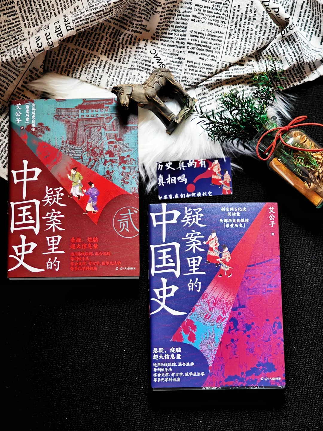 历史疑案：真相能否穿越文字迷雾？