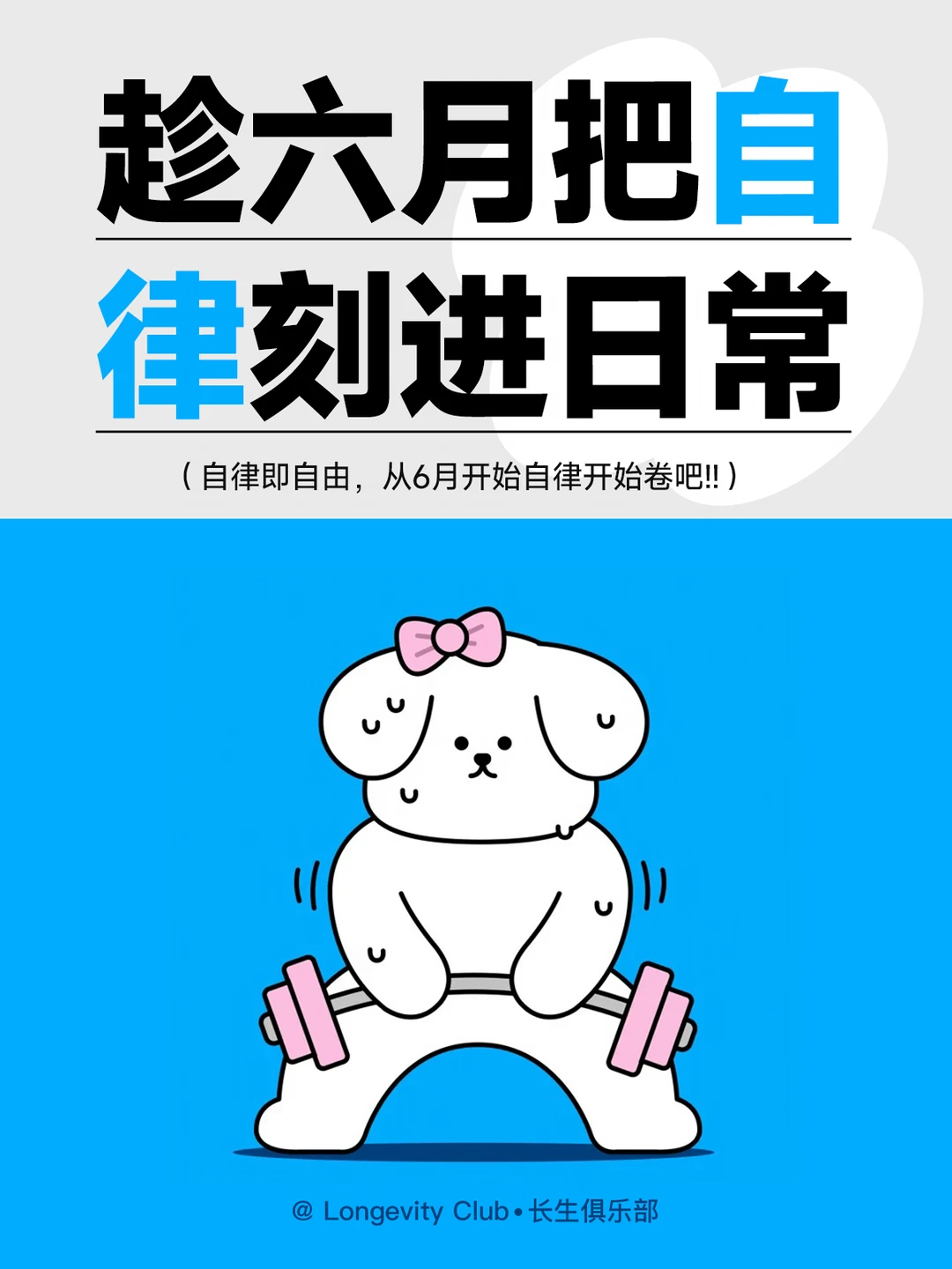 趁六月，把自律刻进日常