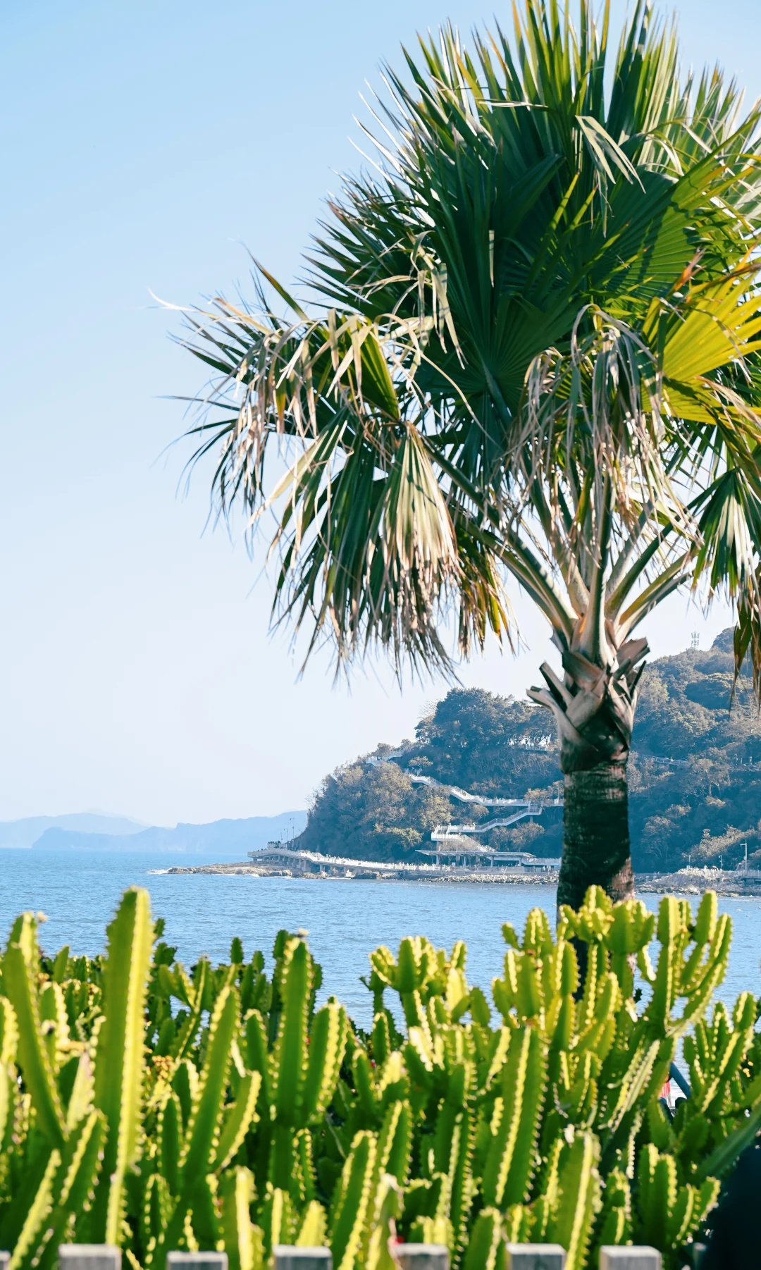 来大梅沙了，和马尔代夫一样🥳