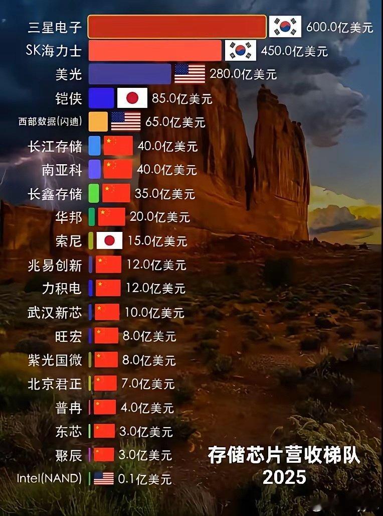 存储芯片营收梯队2025 ​