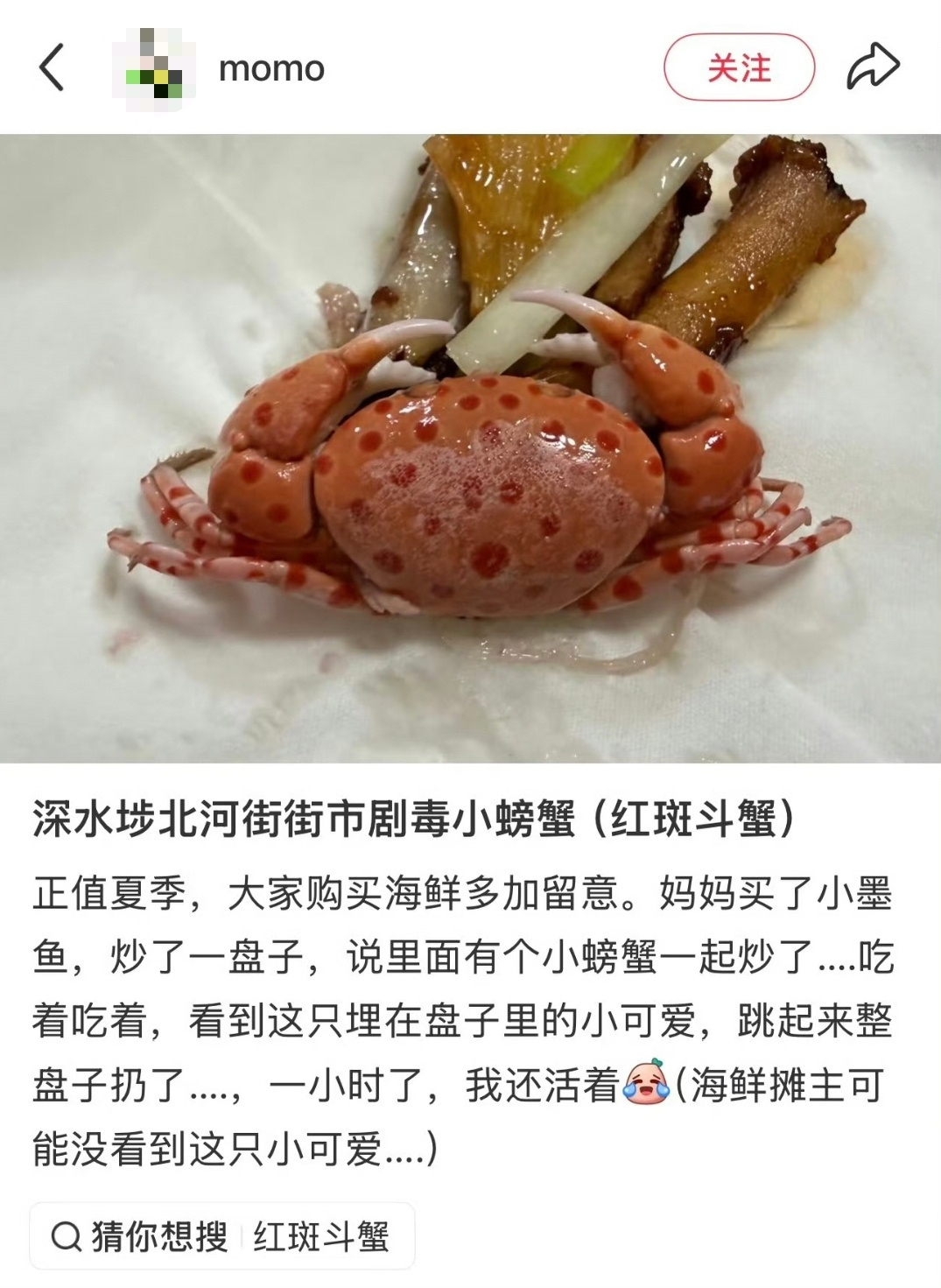 杨女士的妈妈在街市买墨鱼，混进去一只没见过的小螃蟹。老人炒熟了，杨女士上桌一看这螃蟹不认得，用 AI 一查——红斑斗蟹，带河鲀毒素，少量就致命，高温也破坏不了。她直接倒了整盘菜，躲过一劫。

海鲜季，会&