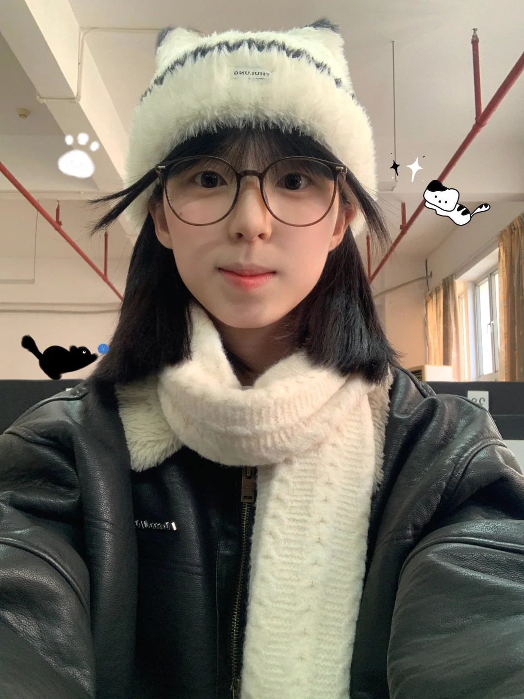 今天有两只小猫