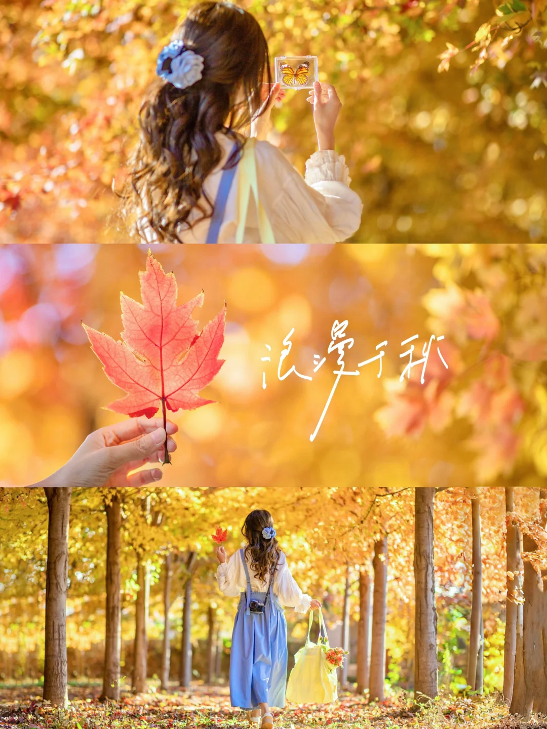 秋日必拍|错过等一年的落叶氛围感|附调色