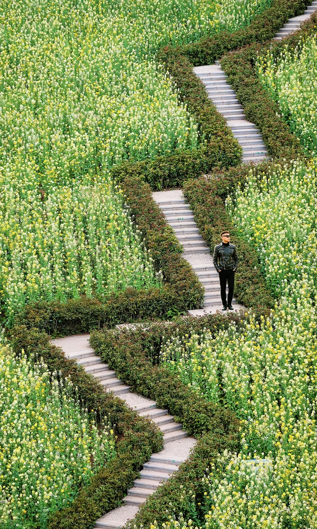 溉澜溪体育公园看花最累的是保安人员🌈‼️