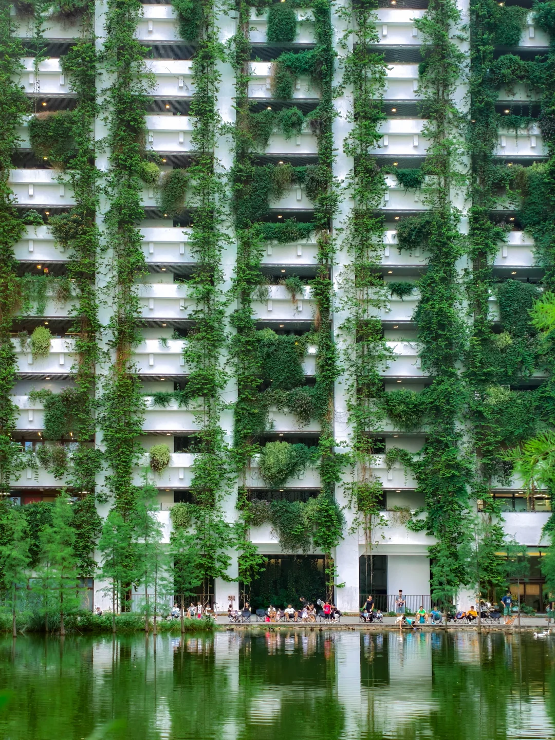 下雨天也YYDS☔️深圳6个阴雨天绝美打卡地