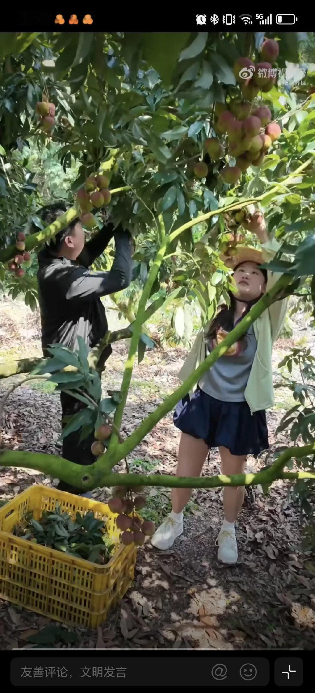 6月2日张家齐和全红婵关系这么好吗？都去和全红婵哥哥一起卖荔枝了。原来...