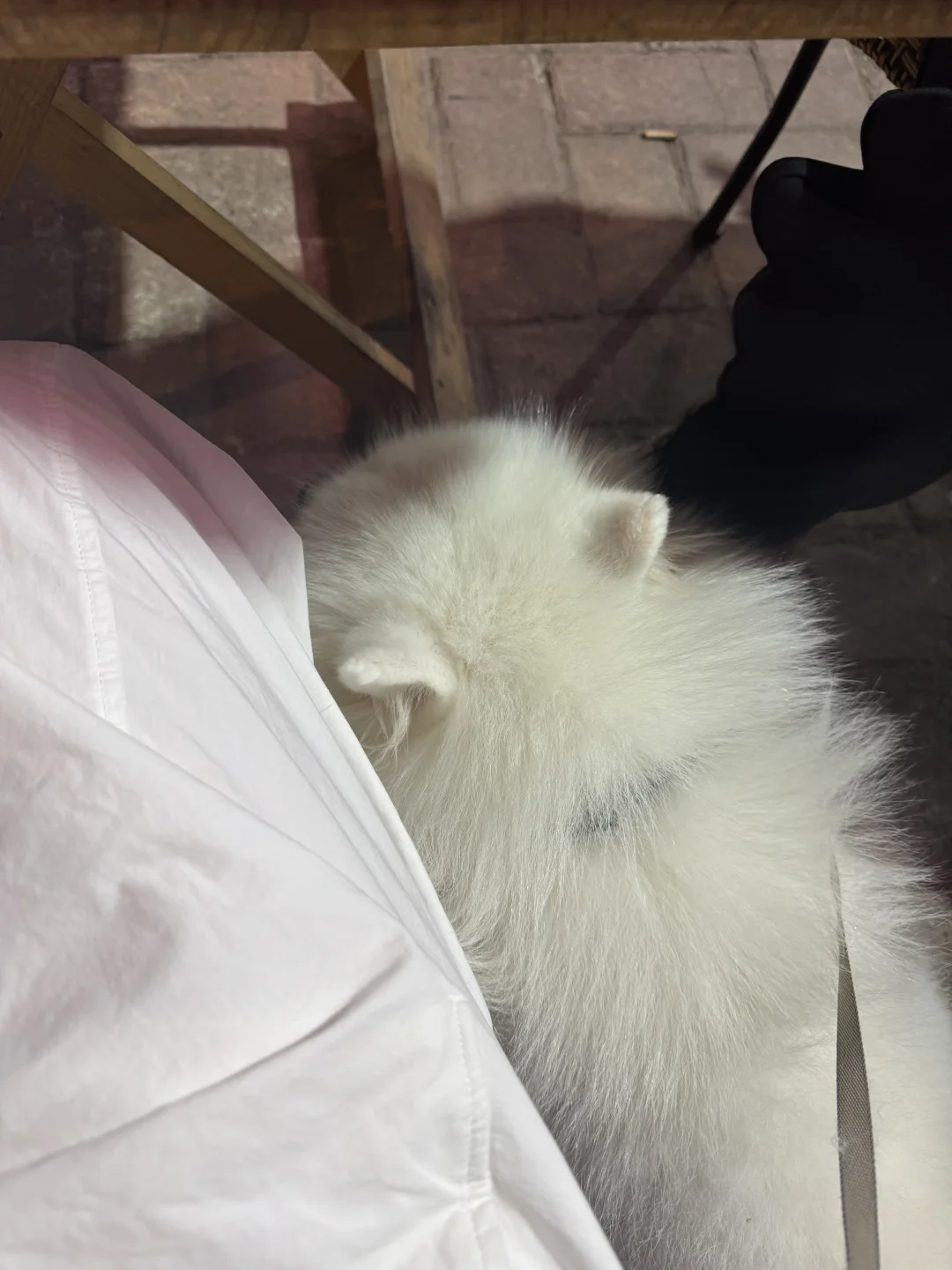 陪妈妈出来吃饭