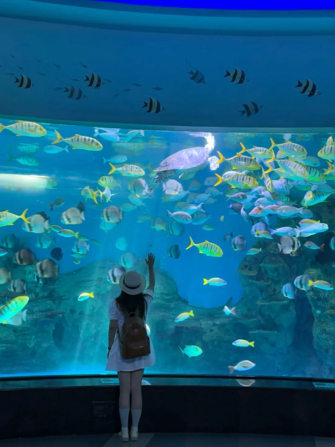 为了这几张图，我特意又飞了趟泉州