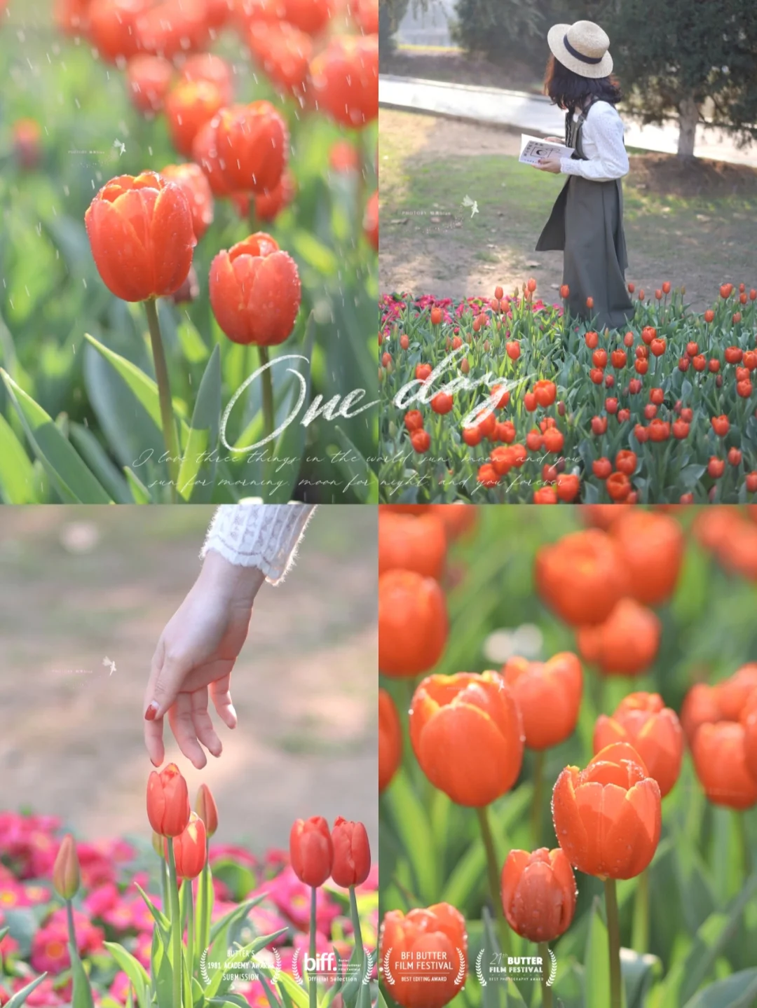 武汉/春日限定浪漫郁金香🌷附滤镜教程！