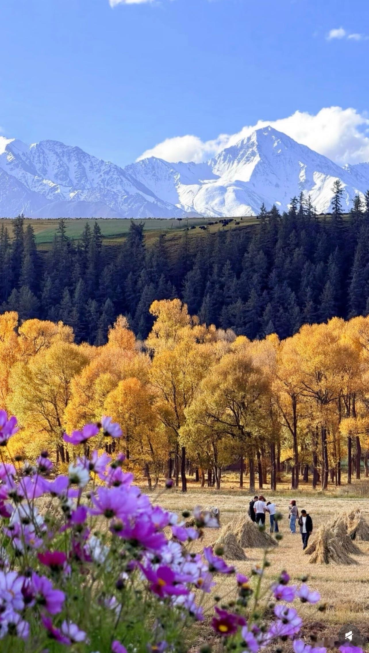 如果让你住在一个远离城市，四季分明，远方雪山的地方，你会愿意吗？起码没有北京的暑伏天儿[泪] ​​​