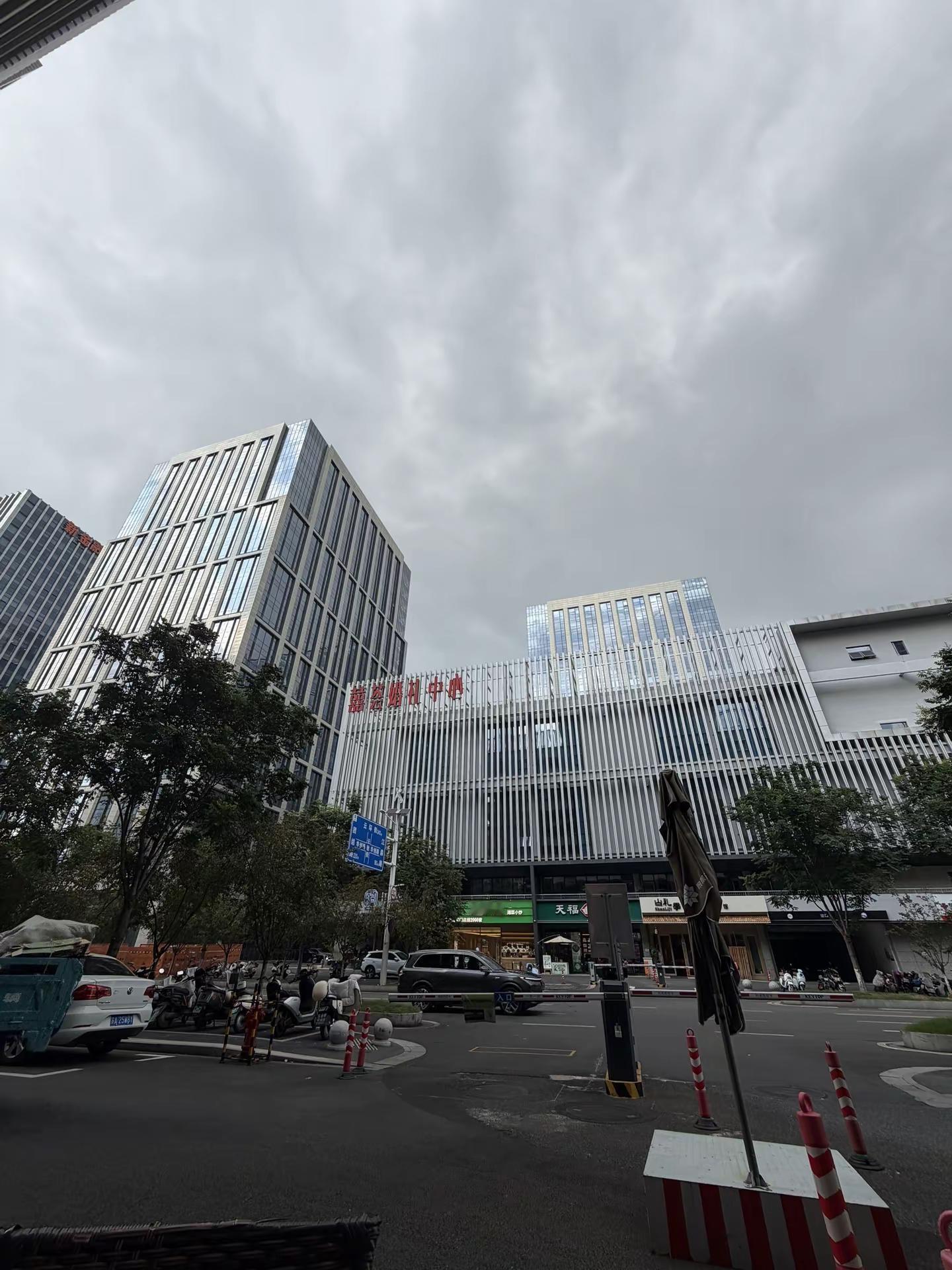 天空有些暗了暗的刚刚好， 我难过的样子就没人看到薛之谦