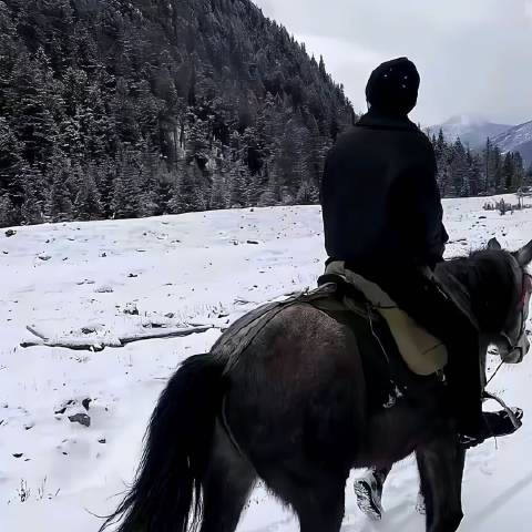 黄金眼-老徐