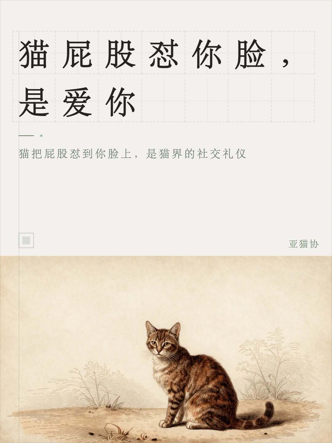 猫屁股怼你脸，是爱你