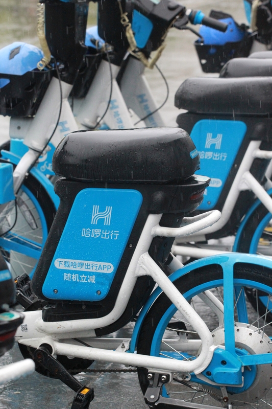 哈啰电动车因2G退网被投诉这事挺闹心。好多网友反馈车子出现电量不更新...