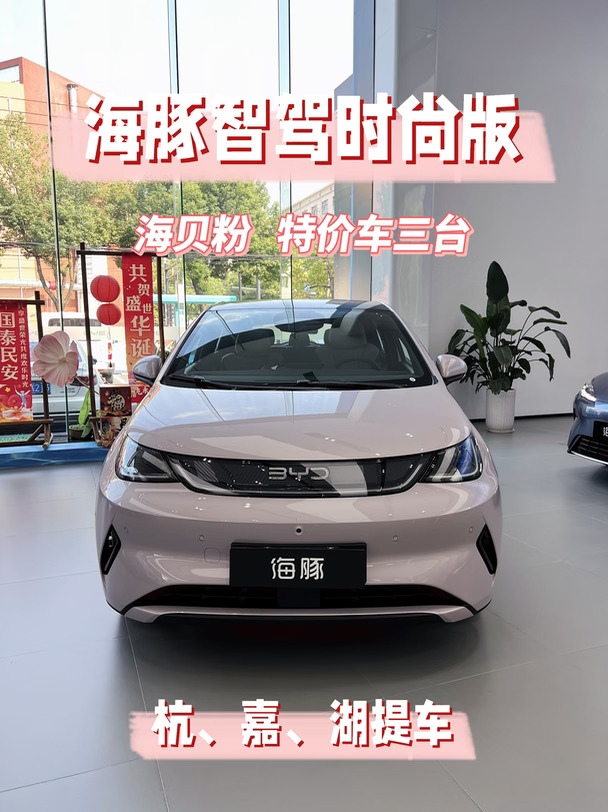 🌟海豚智驾时尚版｜三台特价现车 特价捡漏
