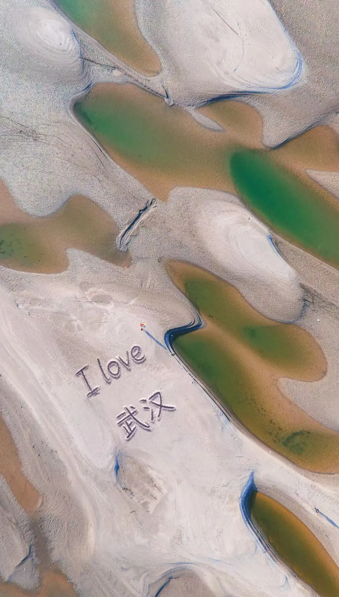 可惜你不在武汉，不知道冬日的翡翠湖多美❗️