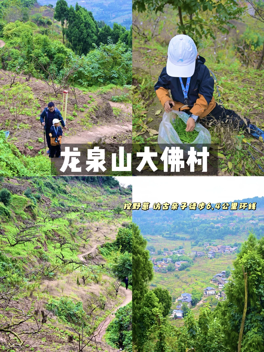 成都周边1h‼️超小众亲子徒步访古挖野葱路线