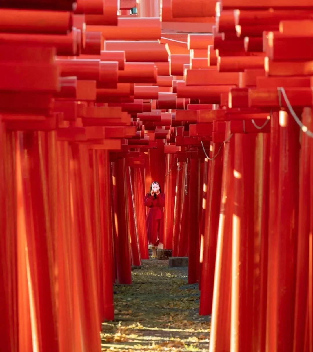 日本群马县｜连绵不绝的鸟居，又见狐狸！