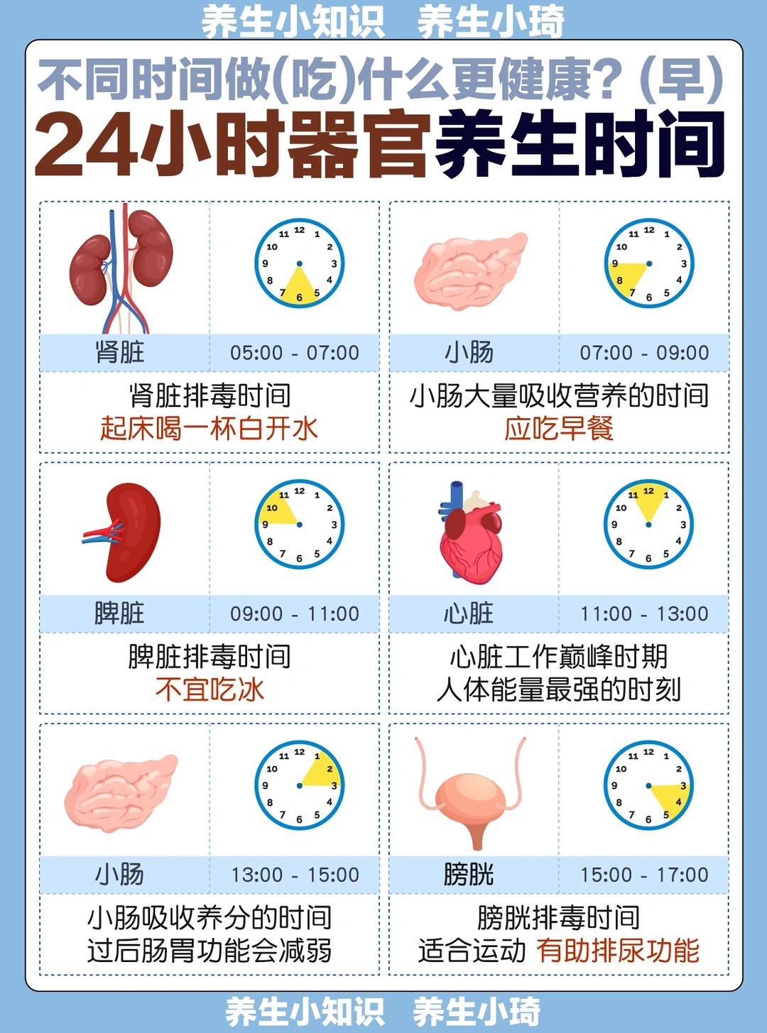 养生必备‼️ 24小时排毒时间表｜排毒养生