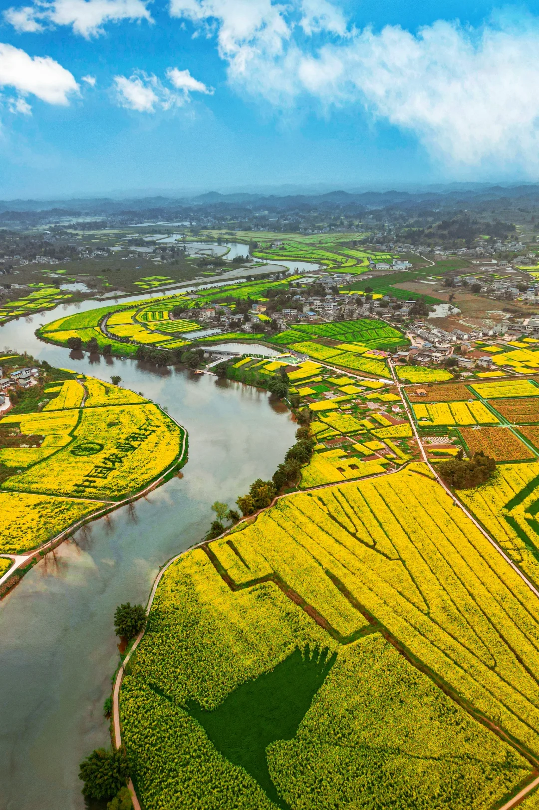 春天总要去看一次油菜花海吧🌈❤️
