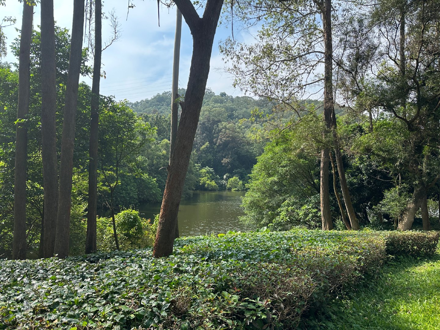 两日有氧🏃  ​
