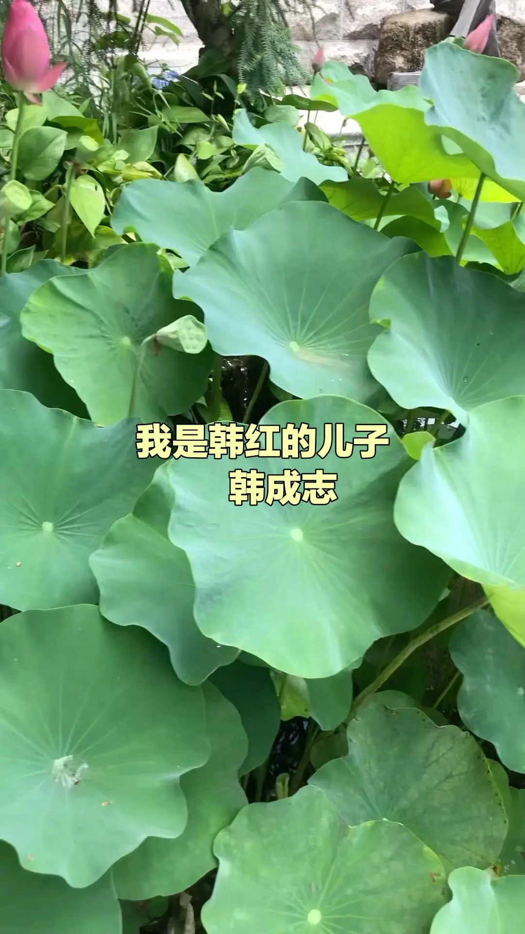 【现场直击： 】这恐怖的射程！加时关键时刻马刺落后3分，文班刚过半场直接出手超远三分扳平比分！nba季后赛马刺vs雷霆