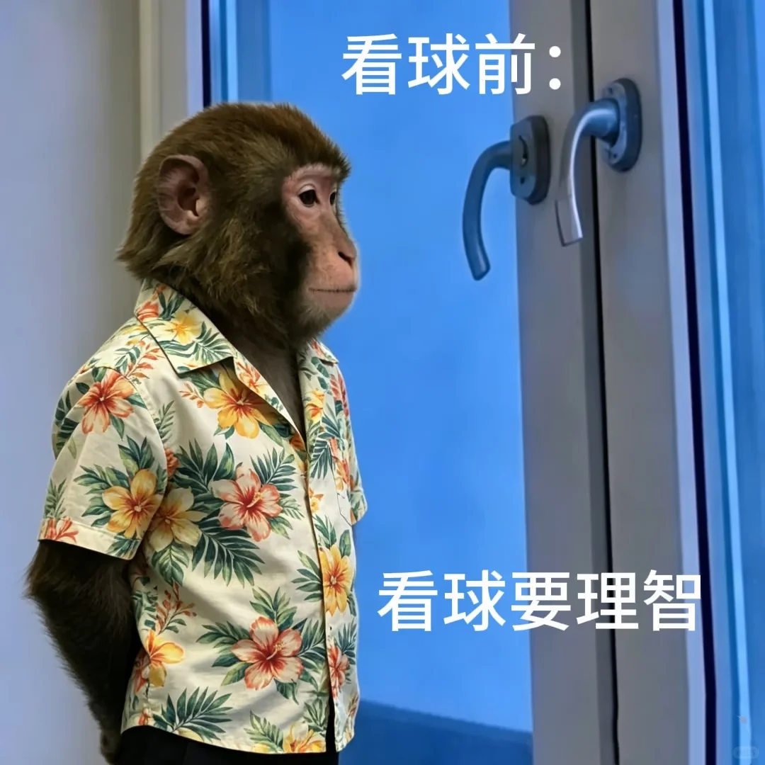 每天我的世界杯总结