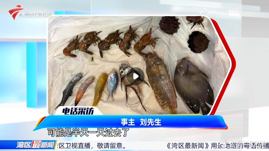 鱼缸专用智能插排服务器故障，十一假期期间向全部鱼友发送了关闭插排的指令，导致我的珊瑚和鱼都死亡了。我多年的心血毁于一旦。

GK群的群友在电视台工作，我（事主刘先生）接受了他的采访。[泪奔][泪奔][泪奔]

GK群，很奇妙吧。

灾后重建中

#沃尔达##沃尔达插排断电致多名用户鱼缸鱼死亡# ​